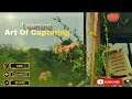 Cinematic Glimpses of Terrace garden 🏡🌿❤️🩹 Mobile Videography #cinematic #terracegarden #trending