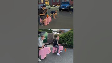 Which minecraft pig race is better?