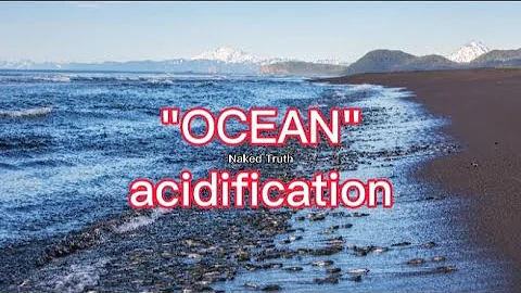 Ocean Acidification and Marine Life: Impacts and Solutions