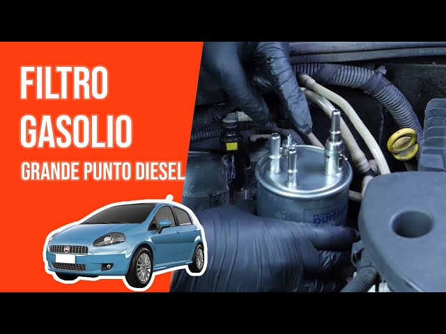 Cambio filtro gasolio Grande Punto 1.3 MULTIJET ⛽ 