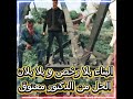 عاجل الناس ليكتبني دار بلا رخصة ها لحل كاين مع دكتور معتوق