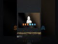 🔥 SECORA Logo Reveal | Cybersecurity Starts Here 🛡️