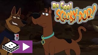 Sakin Ol Scooby Doo | Hurdalık Köpekleri | Boomerang