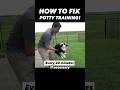 How to Fix Potty Training in 15 Seconds! 🤯 It’s That Easy!! #dogtrainer #puppytraining #dogtraining