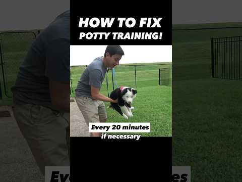 How To Fix Potty Training In 15 Seconds! 