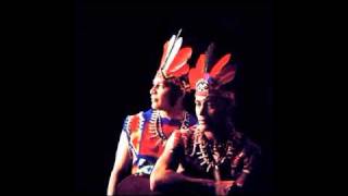 Miniatura de vídeo de "Los Indios Tabajaras - Moonlight Serenade.flv"