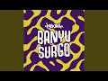 Banyu surgo