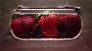 Life of a strawberry Stop food waste save the food
