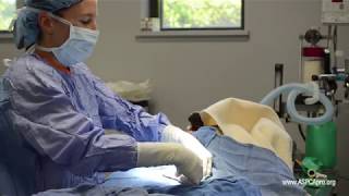 Spay/Neuter Surgery: Ovarian Cutaway and Ligature Placement