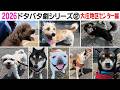 2026狂犬病予防注射会場のドタバタ劇⑫ 大庄地区センター編