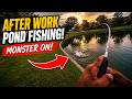 I Was NOT Expecting This | Houston Pond Fishing