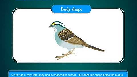 Incredible Science Class 3-Chapter 7-Page Number 73