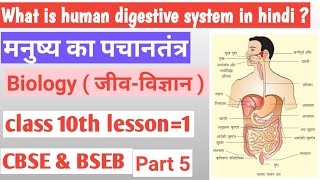 digestive system in hindi || मनुष्य का पचानतंत्र || biology class 10th lesson 1 part 5