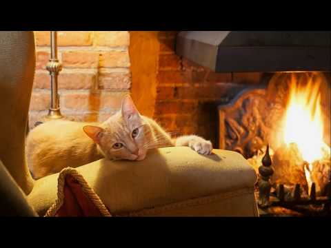 Камины на картинах художников. (Часть 2).