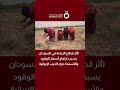 تأثر قطاع الزراعة في السودان بسبب ارتفاع أسعار الوقود والأسمدة جراء الحرب الإيرانية
