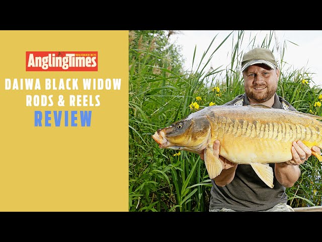 FISHING TACKLE REVIEWS  DAIWA Black Widow Rod & Reels 