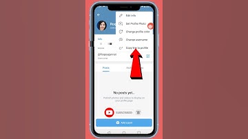 How To Copy Telegram Profile Link #shorts #telegram #link #viralvideo #viralreels #viralshorts