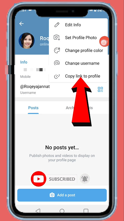 How To Copy Telegram Profile Link #shorts #telegram #link #viralvideo #viralreels #viralshorts