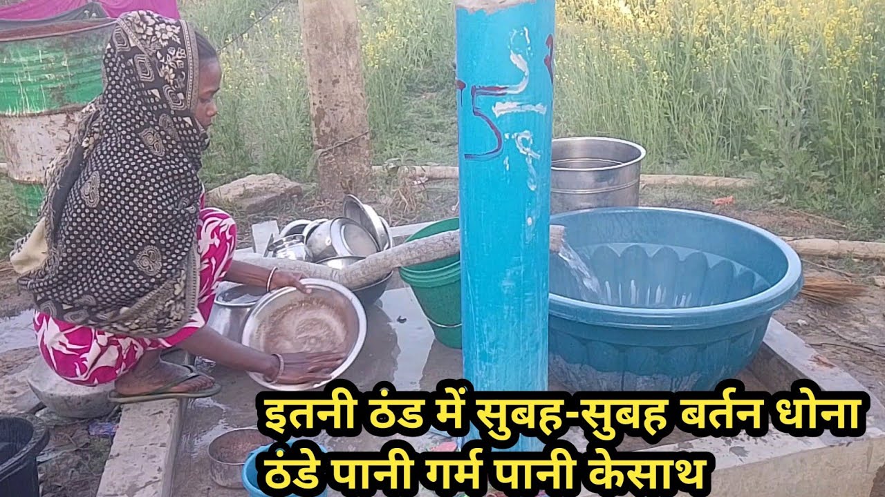 इतनी ठंड में सुबह-सुबह बर्तन धोना और घर का सारा काम करना