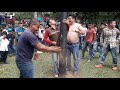 Palo Encebado en Copan Honduras