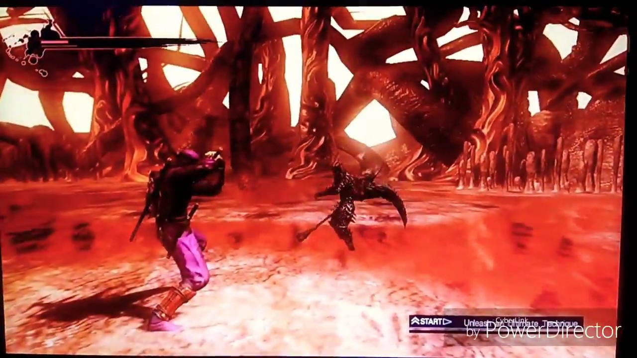 NINJA GAIDEN 3 MN03 DS SOLO