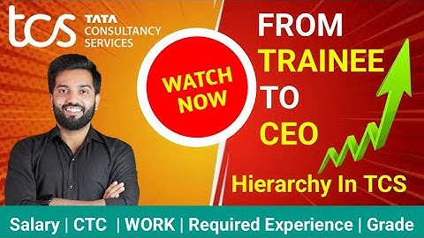 📈 TCS Hierarchy & Salary (Y to SP5): Complete Grades, Designations, and CTC Breakdown