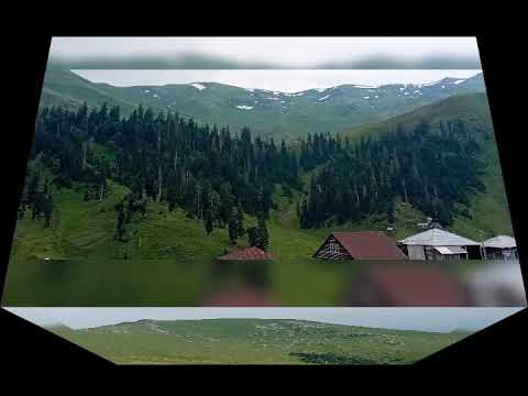 4 აგვისტო, 2020