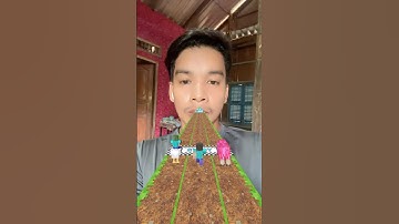 Minecraft Filter Game Challenge #ytshorts #squidgamchallenge #impossible #filterchallenge #minecraft