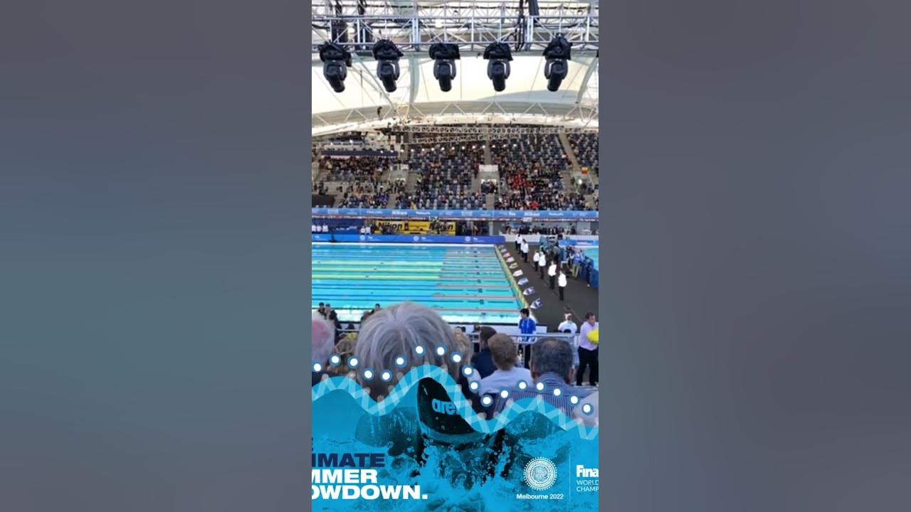 Fina Swimming World Champs Short Course YouTube