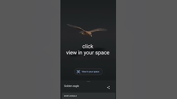 How to watch Ar animals... #amazing #eagles #google #googlear #youtubeshorts #vr