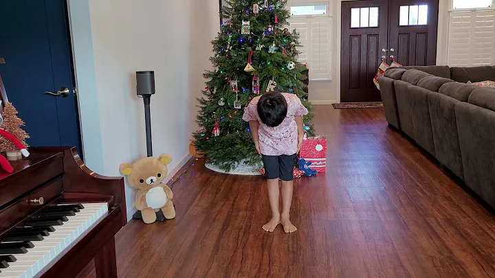 Ayce Nakaoka 2020 Ann Tanabe Christmas Recital