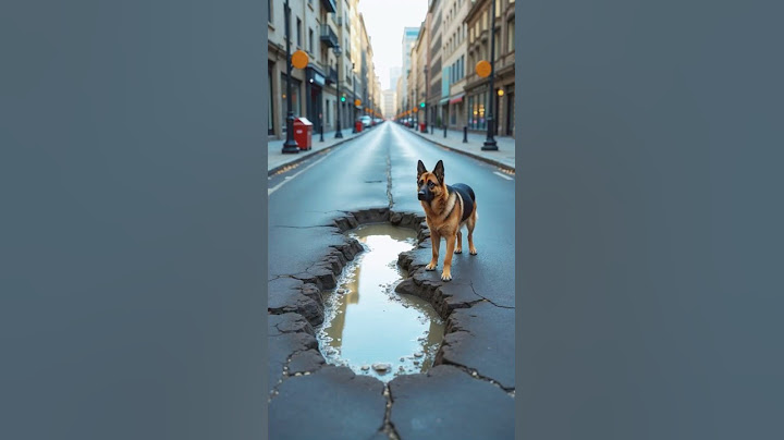 Dog Saves the Baby From Concrete Pothole!
