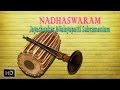 Nadhaswaram - Classical Instrumental - Abheri - Jayashankar & Valayapatti Subramaniam