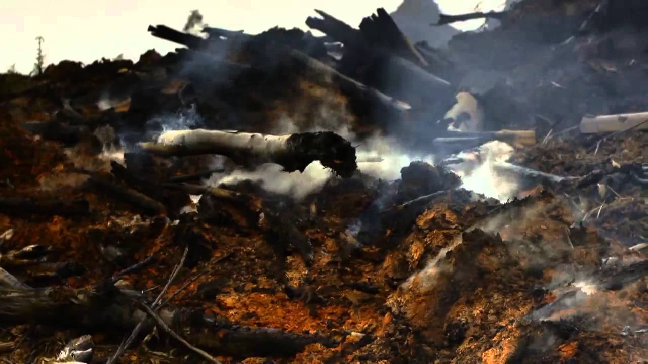 حياتي الحلقة 88 - المتهم الخامس - الاثنين 17:00
