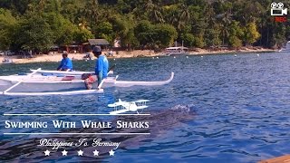 Philippines - Whale Shark encounter in Oslob (Cebu)