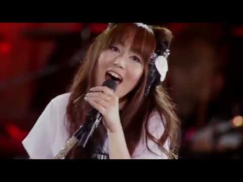 Fushichou no Flamme LIVE CIRCUS 2013