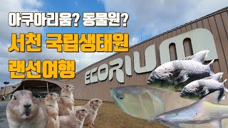 [랜선여행] 아쿠아리움, 동물원,식물원을 한번에 즐길 수 있는 서천 국립생태원, 서천여행, 에코리움, 충남여행