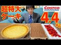 【大食い】コストコの超特大ケーキ3種類 4.4kgの大食いチャレンジに挑んだ結果【高カロリー】【激熱】【モッパン】大胃王 BigEater Challenge Menu