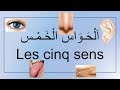 Les 5 Cinq Sens الحواس الخمس 