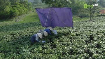 Du lịch Hồ Núi Cốc  duong di