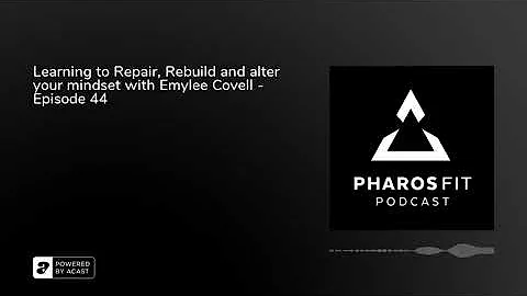 Learning to Repair, Rebuild, and alter your mindse...