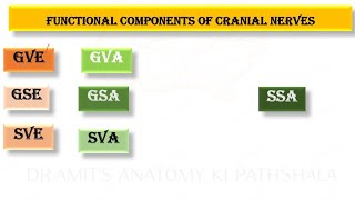 Functional components of Cranial nerves