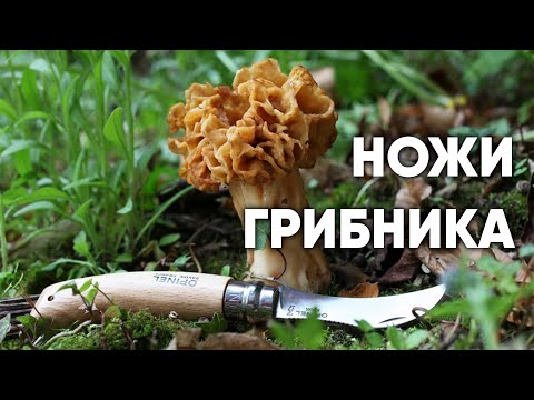 Ножи грибника Ножи грибника