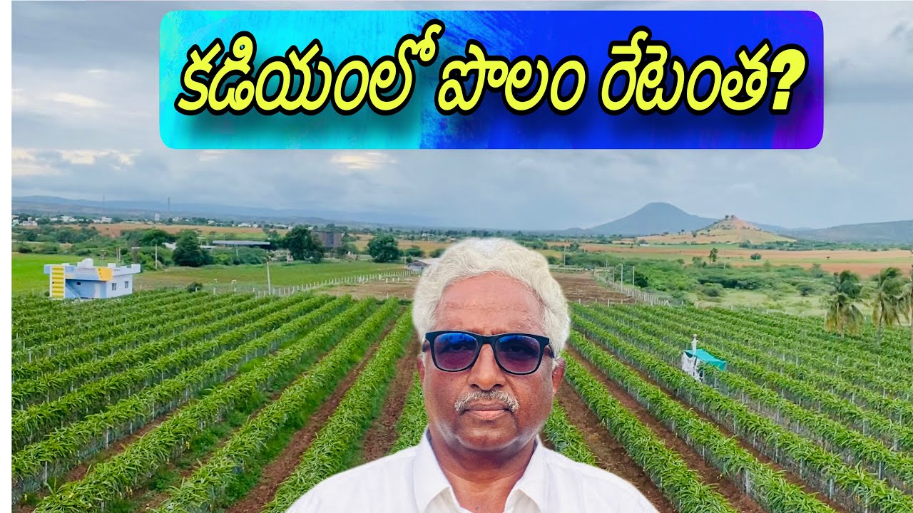 కడియంలో పొలం రేటెంత?