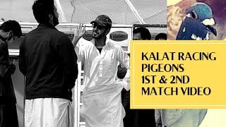 Kalat Pigeon Racing Association 1st & 2nd rounds video | Racing Pigeons | Pigeon Race | Racer Pigeon