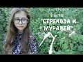 БАСНЯ И.А. КРЫЛОВА🐜 "СТРЕКОЗА И МУРАВЕЙ" 1808г.