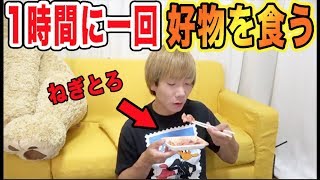 【検証】人は1時間に１回大好物を食べ続けたらどうなるか！？【ねぎとろ地獄】