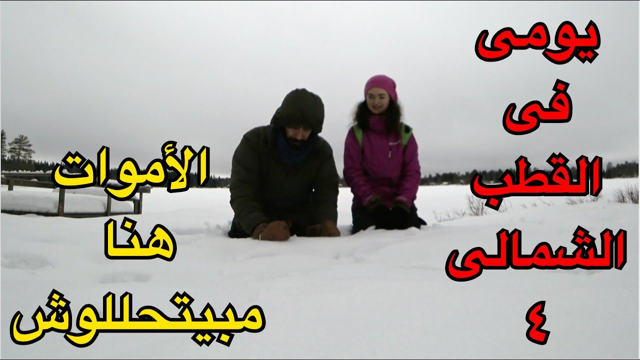 ⁣يومي في القطب الشمالي ٤ -الجثث هنا مبتتحللش !