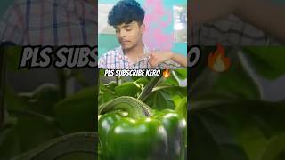 158 Days in 40 Seconds -Peter Pepper #shorts #increase #trees #reaction #shorts #asmr #viral #shorts