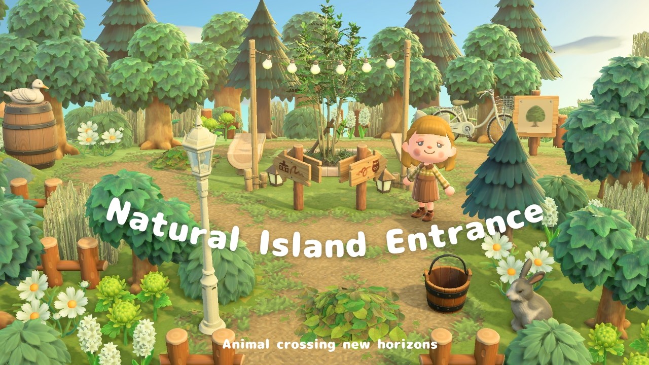 【あつ森】落ち着く自然島クリエイト | 飛行場前のエントランス | acnh | Animal crossing new horizons【島クリエイト】